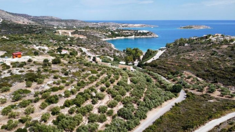 Loutraki Akrotiri Kreta, Loutraki: Grundstück neben dem Strand zu verkaufen Grundstück kaufen